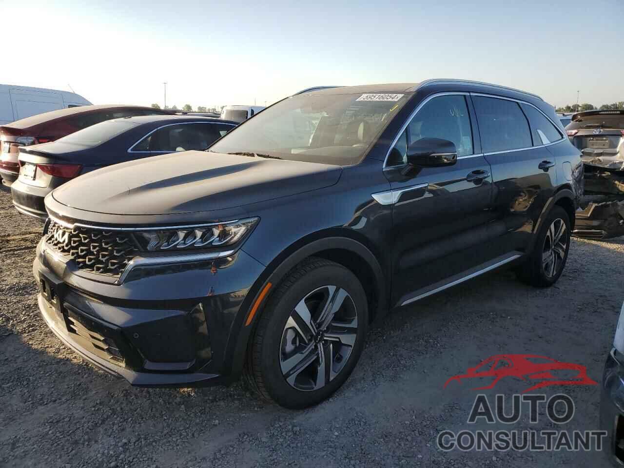 KIA SORENTO 2024 - KNDRHDLGXR5258705