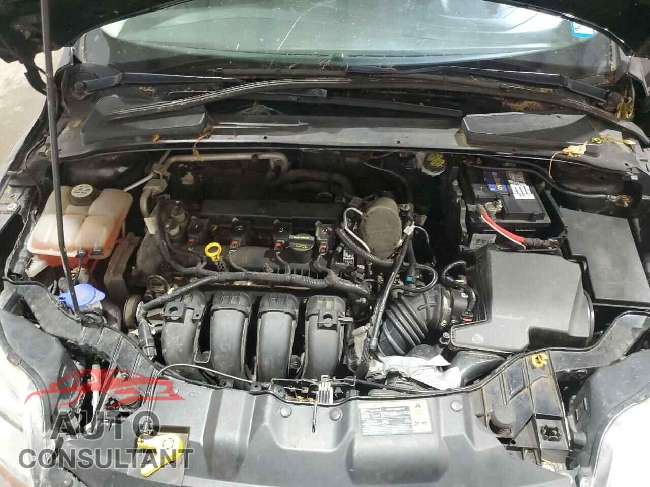 FORD FOCUS 2014 - 1FADP3F20EL165579