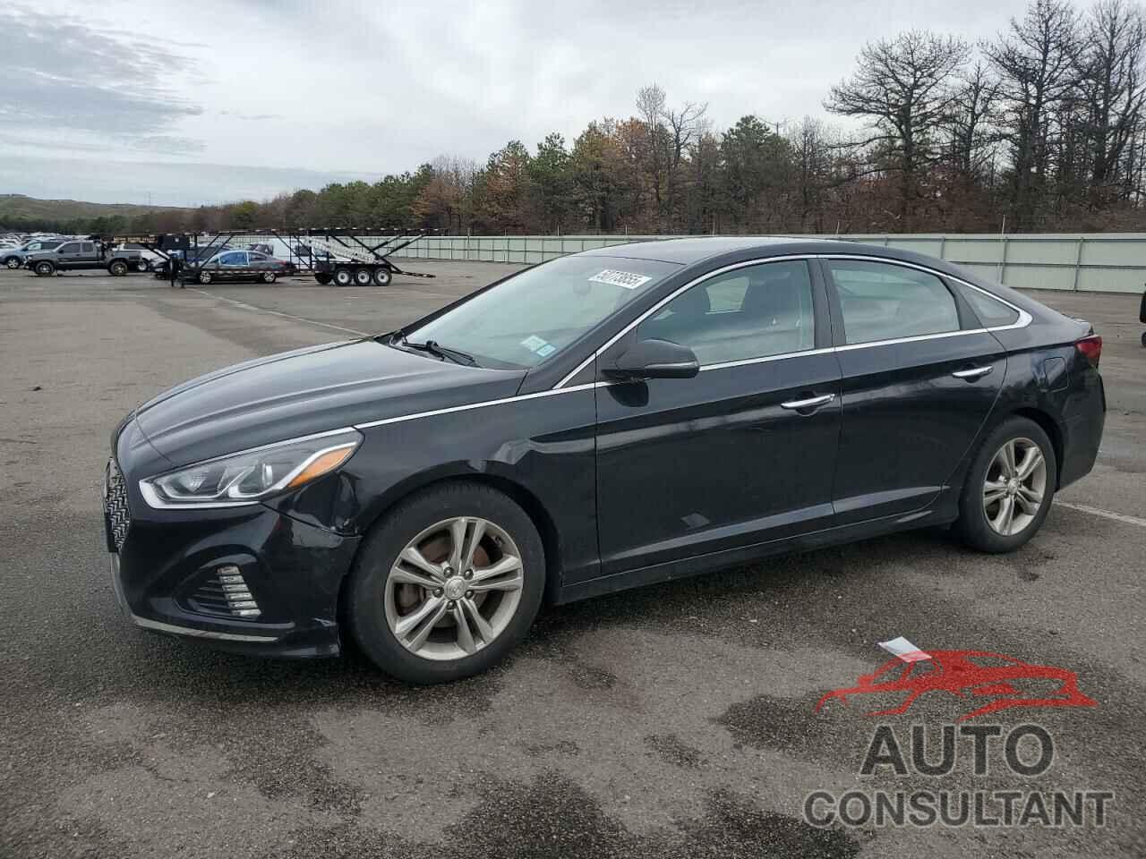 HYUNDAI SONATA 2019 - 5NPE34AF0KH729161