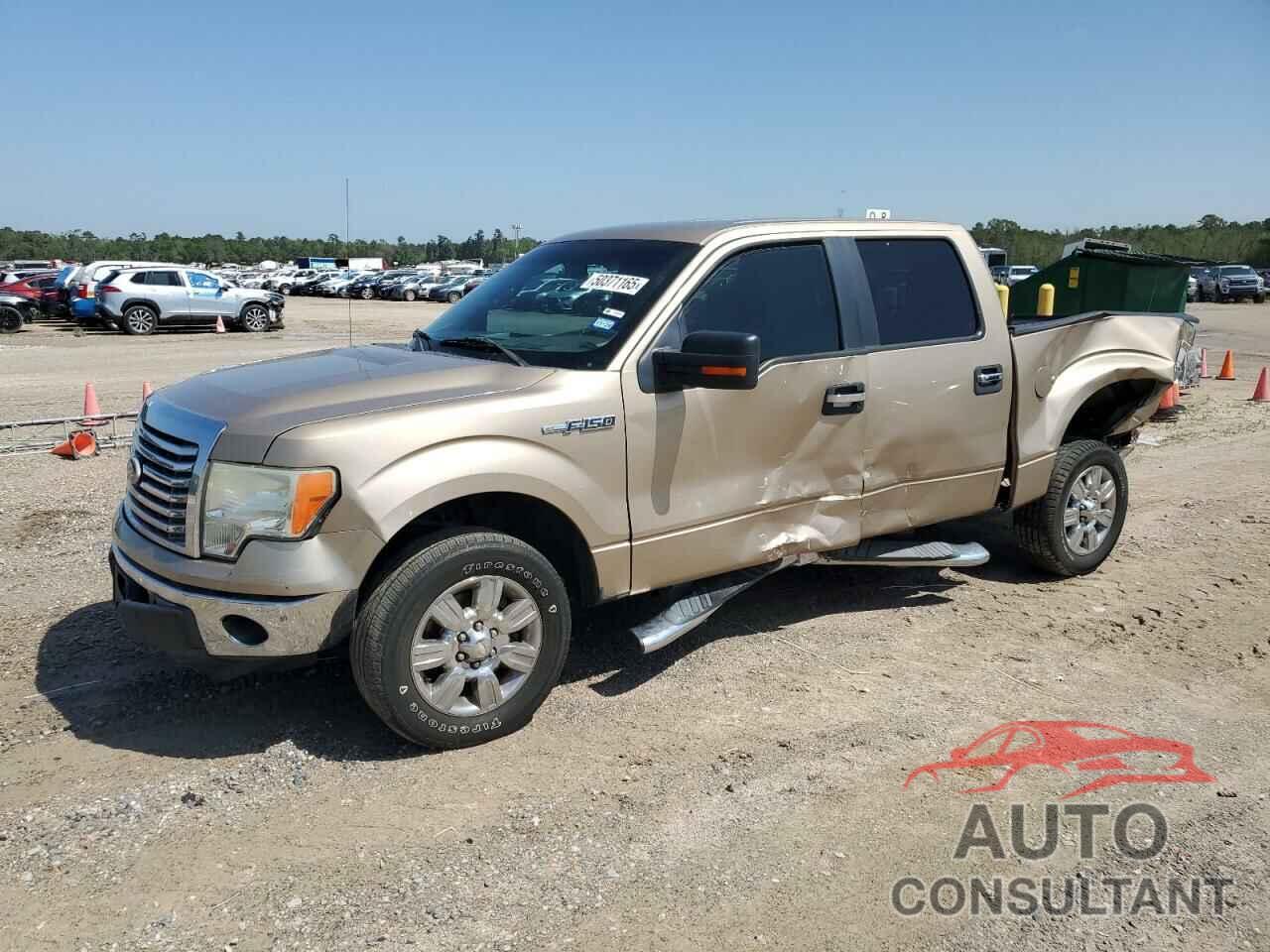 FORD F-150 2011 - 1FTFW1CF6BKD10787