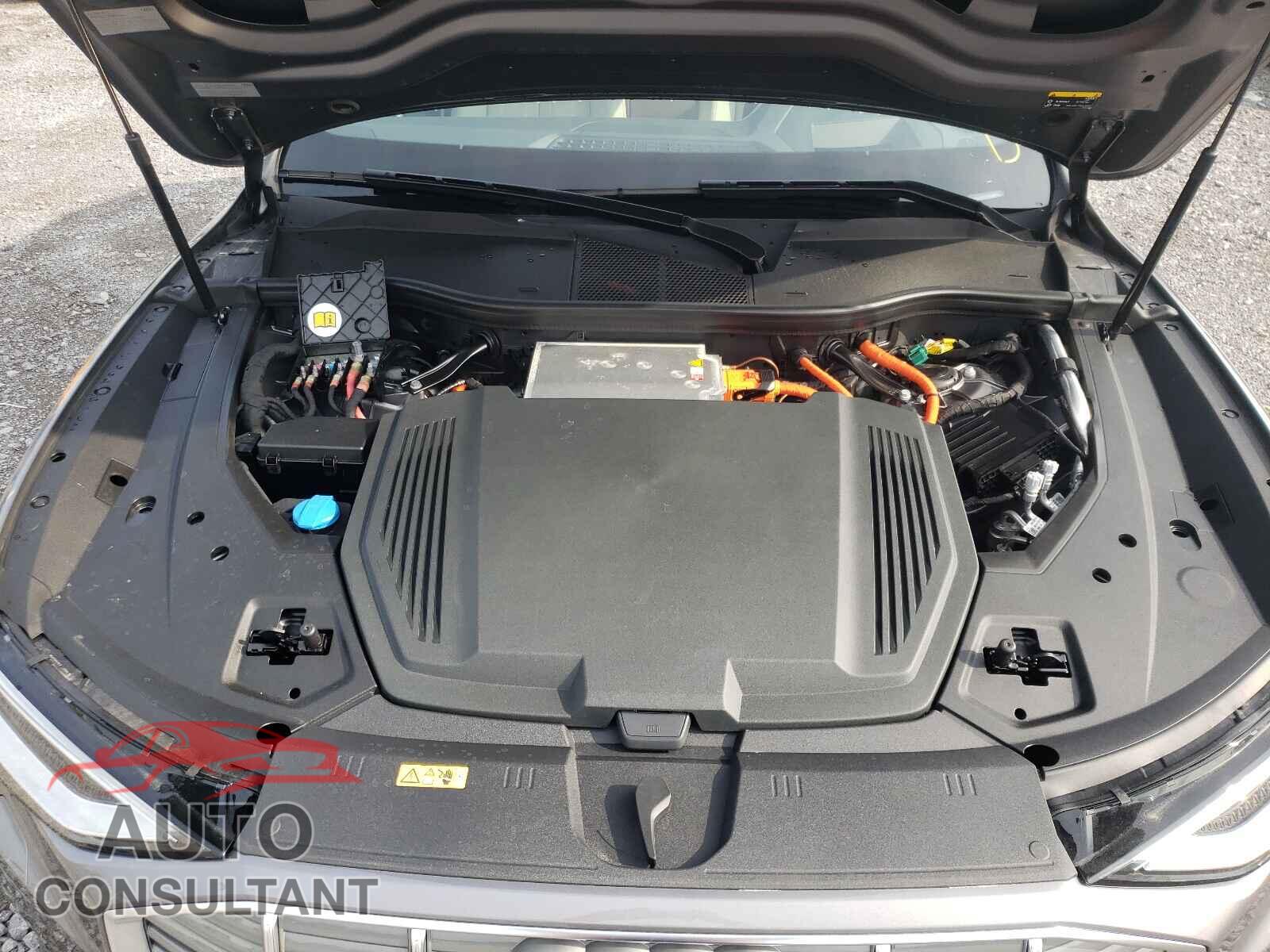 AUDI E-TRON 2019 - WA1VAAGE8KB014594