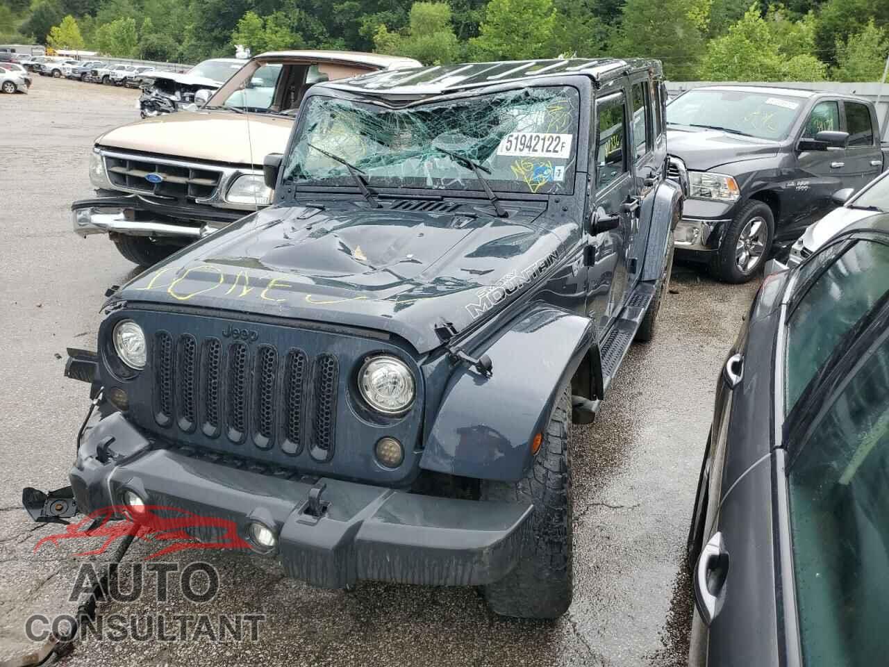 JEEP WRANGLER 2017 - 1C4BJWEG3HL647100