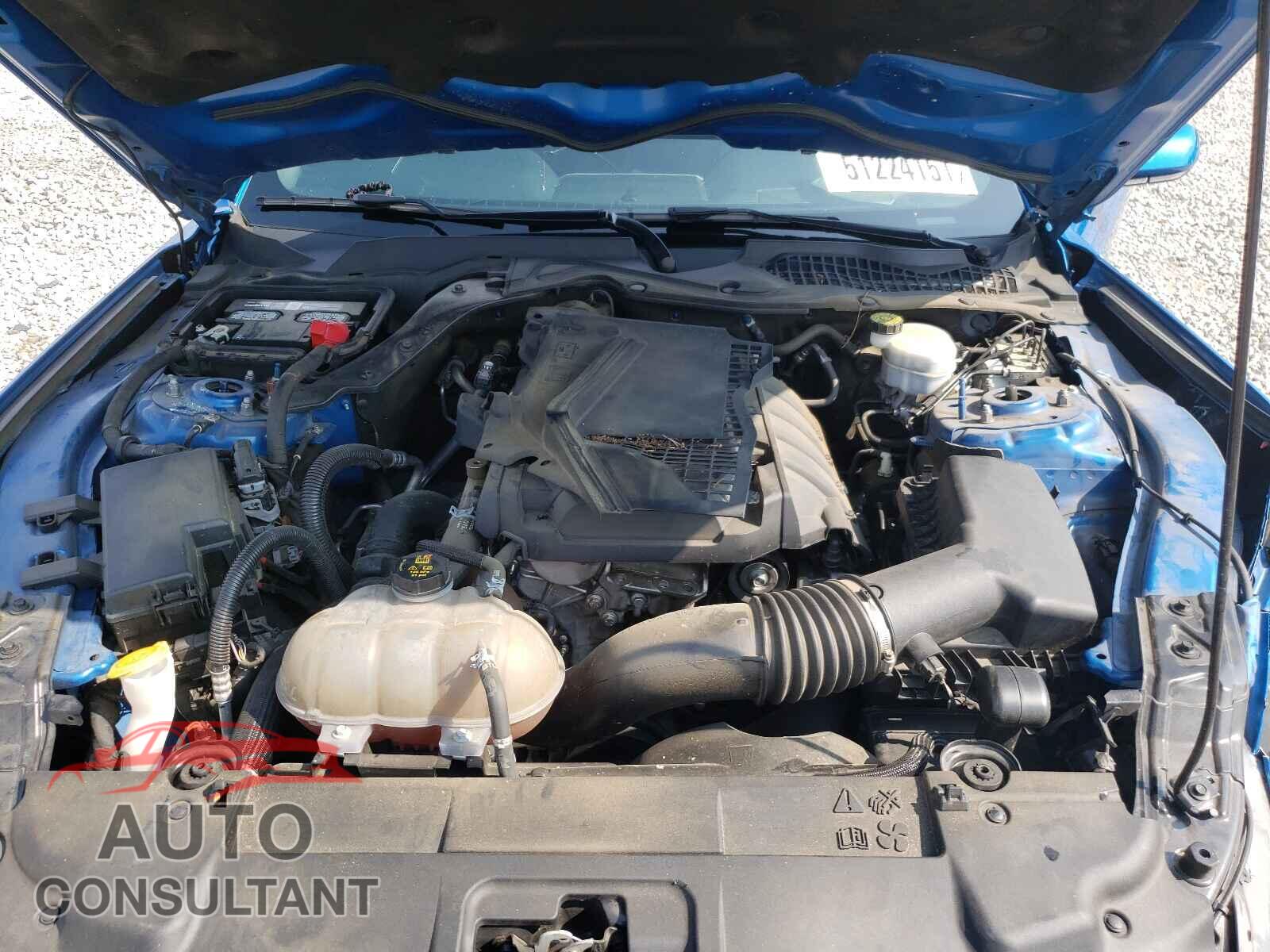 FORD MUSTANG 2019 - 1FA6P8THXK5184705