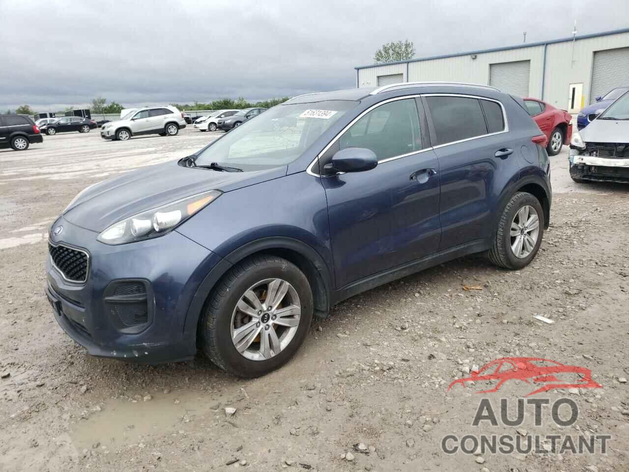 KIA SPORTAGE 2017 - KNDPM3AC5H7238541