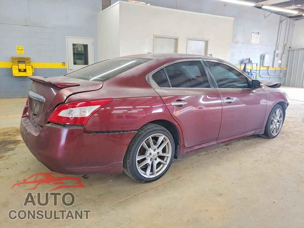NISSAN MAXIMA 2009 - 1N4AA51E09C810349