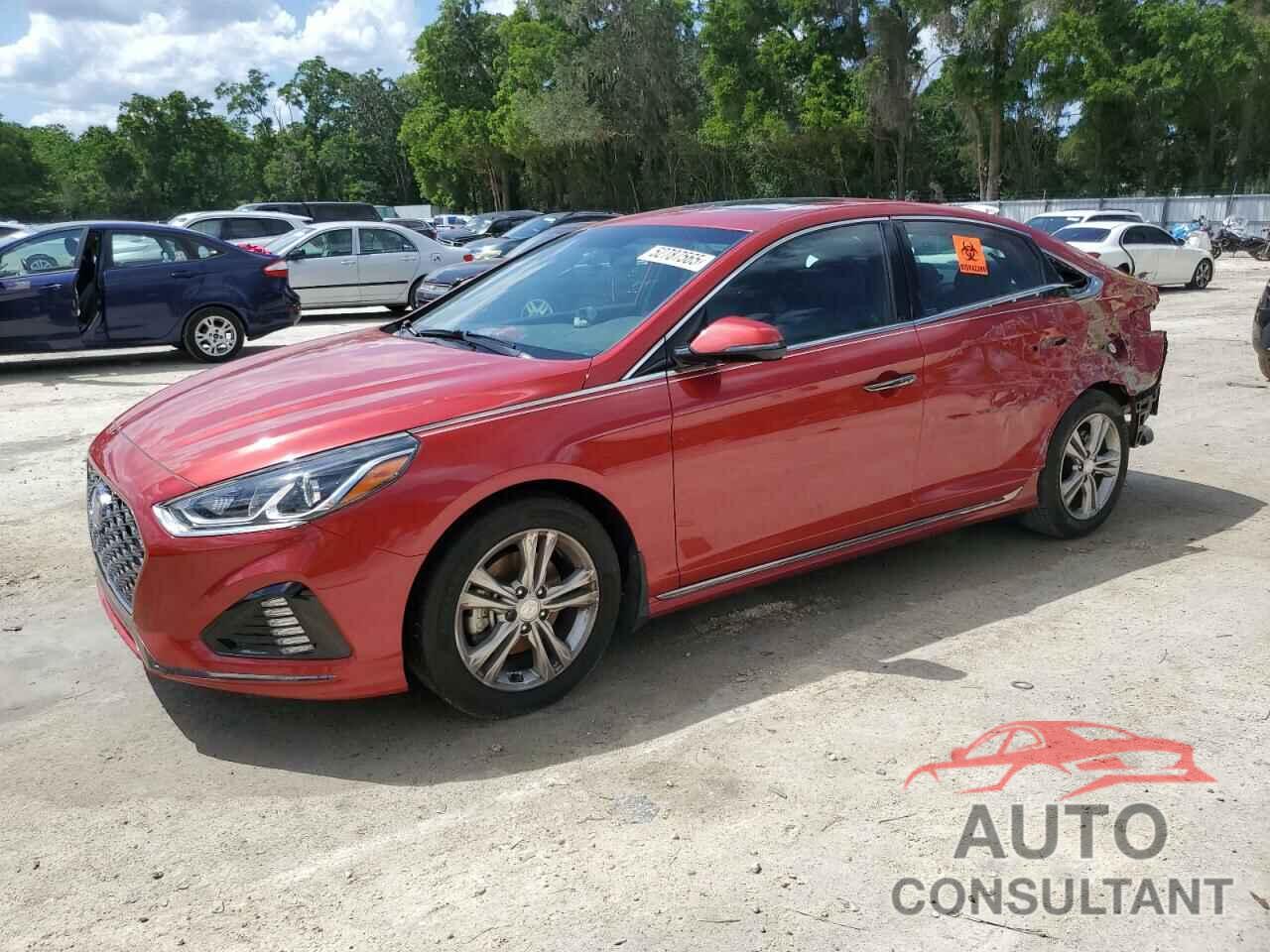 HYUNDAI SONATA 2019 - 5NPE34AF8KH808447