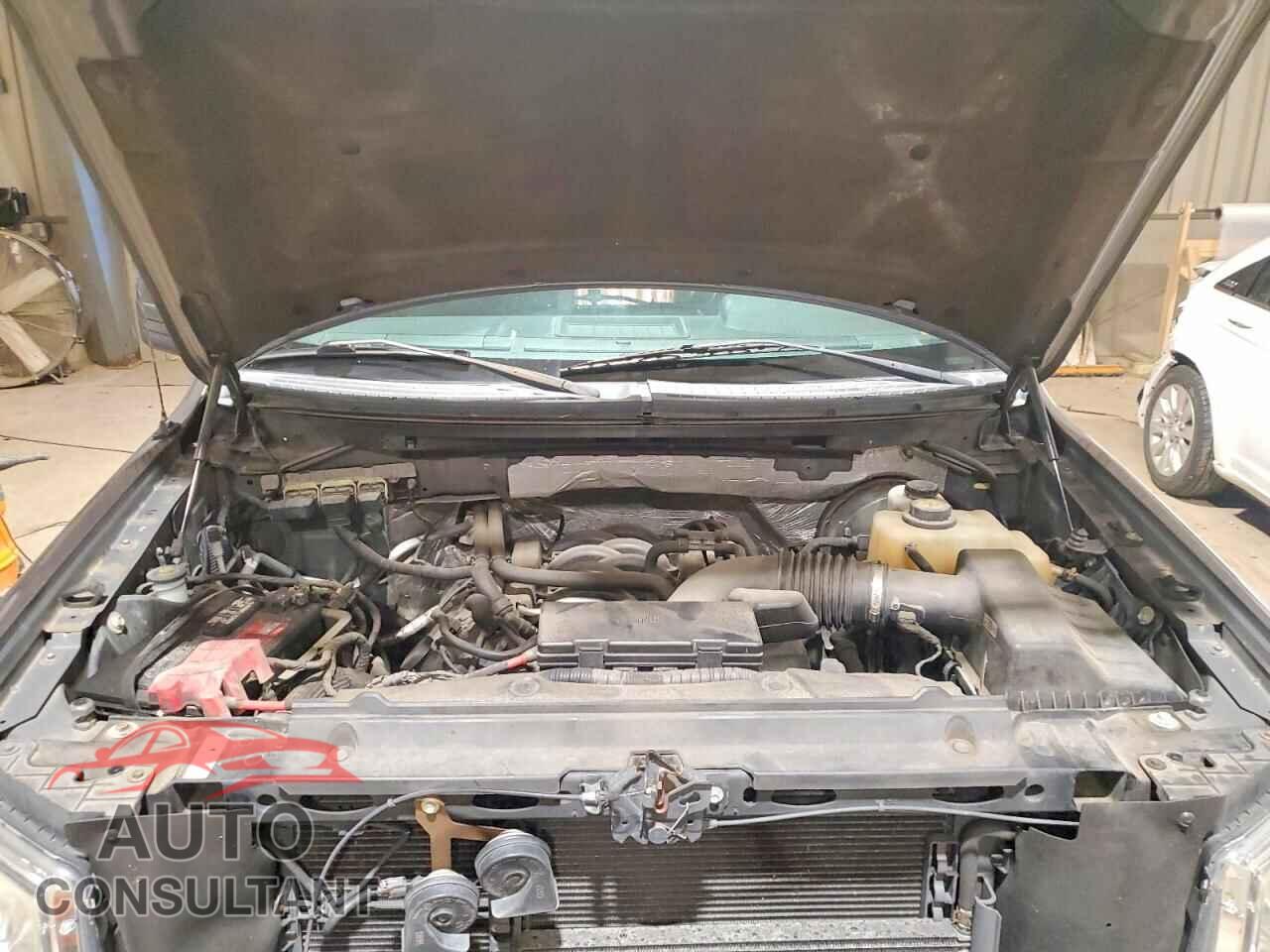FORD All Models 2013 - 1FTMF1CF9DKE69202