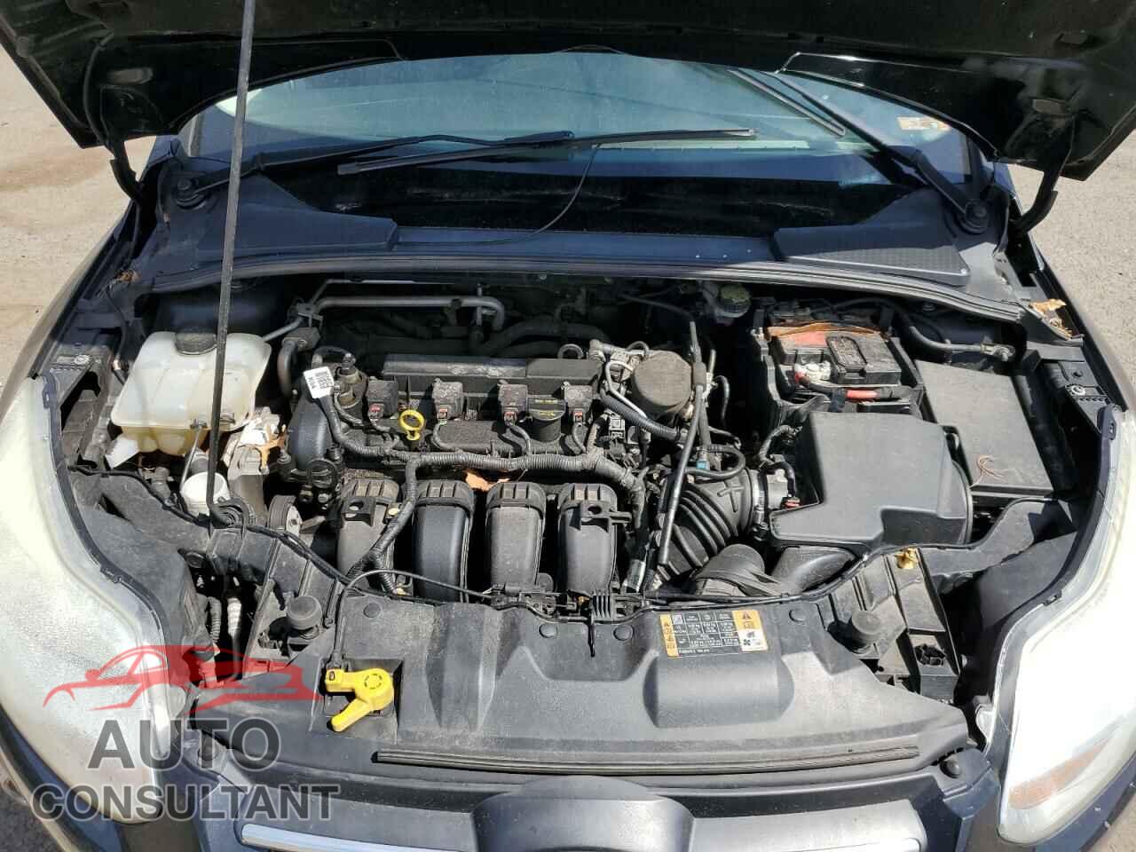 FORD FOCUS 2014 - 1FADP3F29EL297594