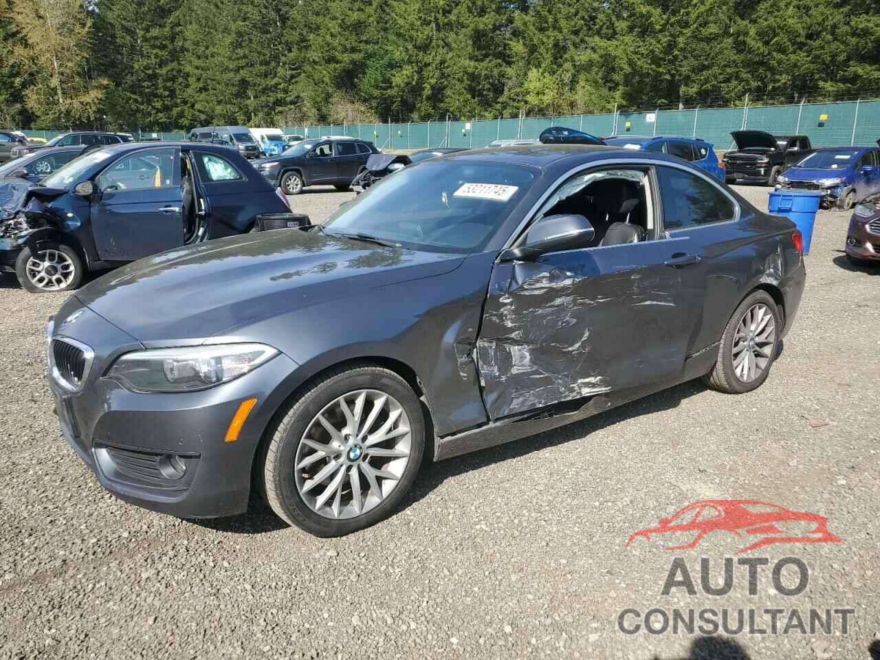 BMW 2 SERIES 2014 - WBA1F5C55EV246282