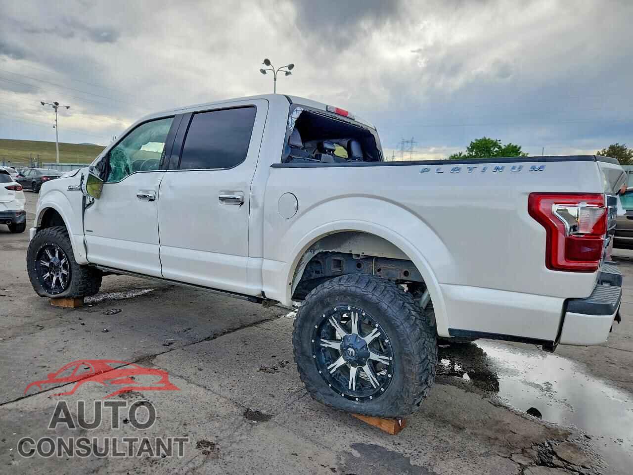 FORD F150 2015 - 1FTEW1EG1FFC53365