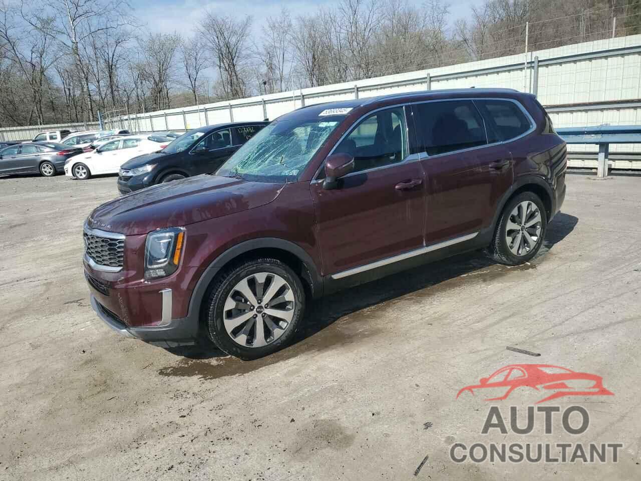KIA TELLURIDE 2020 - 5XYP3DHC1LG055440