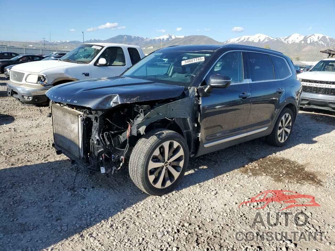 KIA TELLURIDE 2021 - 5XYP6DHC9MG100939