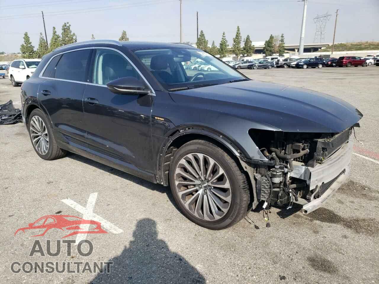 AUDI E-TRON 2019 - WA1VABGE2KB024429