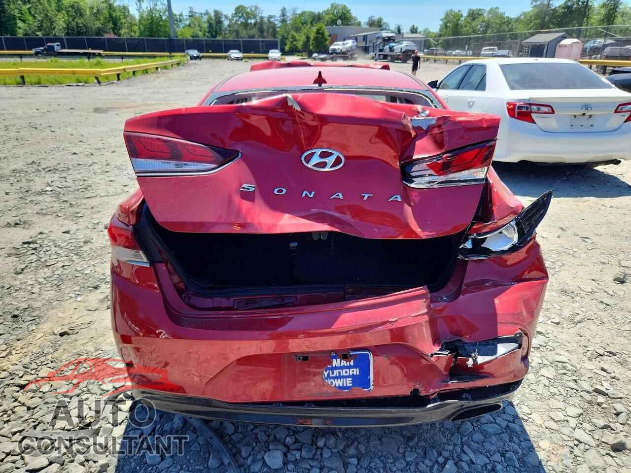 HYUNDAI SONATA 2019 - 5NPE34AF1KH750147