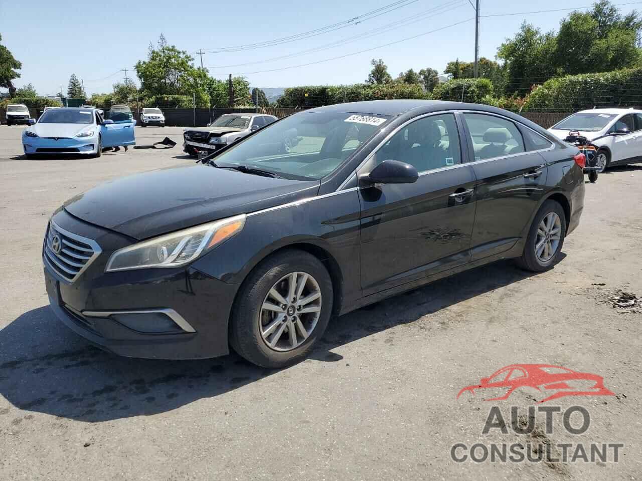 HYUNDAI SONATA 2016 - 5NPE24AF1GH334304