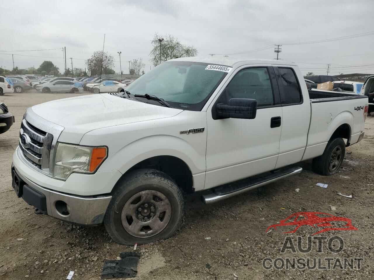 FORD F-150 2011 - 1FTFX1EF3BKE18049