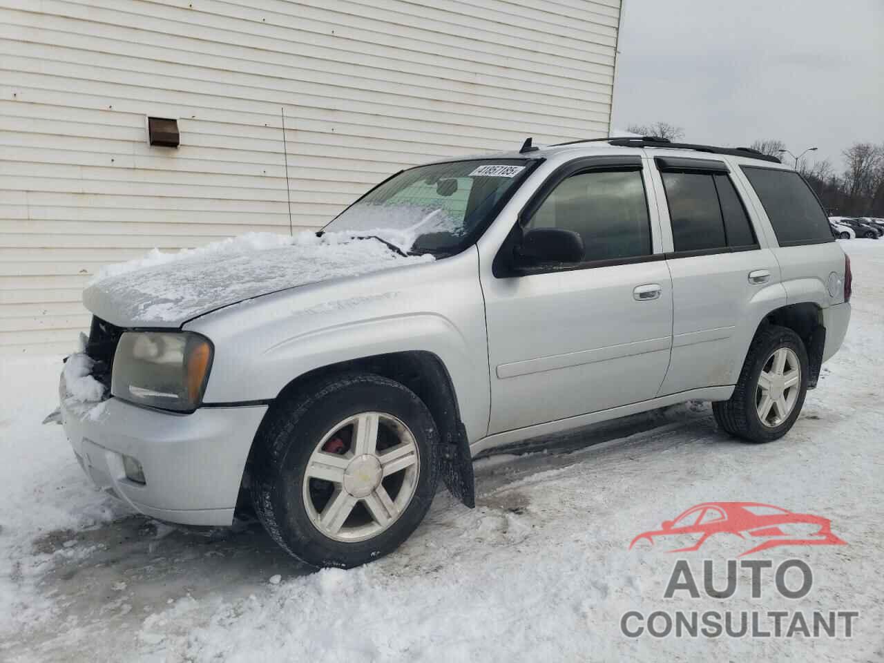 CHEVROLET TRAILBLZR 2009 - 1GNDT33S092105475