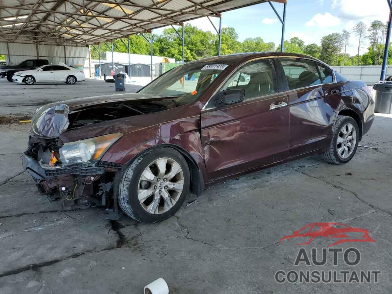 HONDA ACCORD 2010 - 5KBCP3F86AB018563