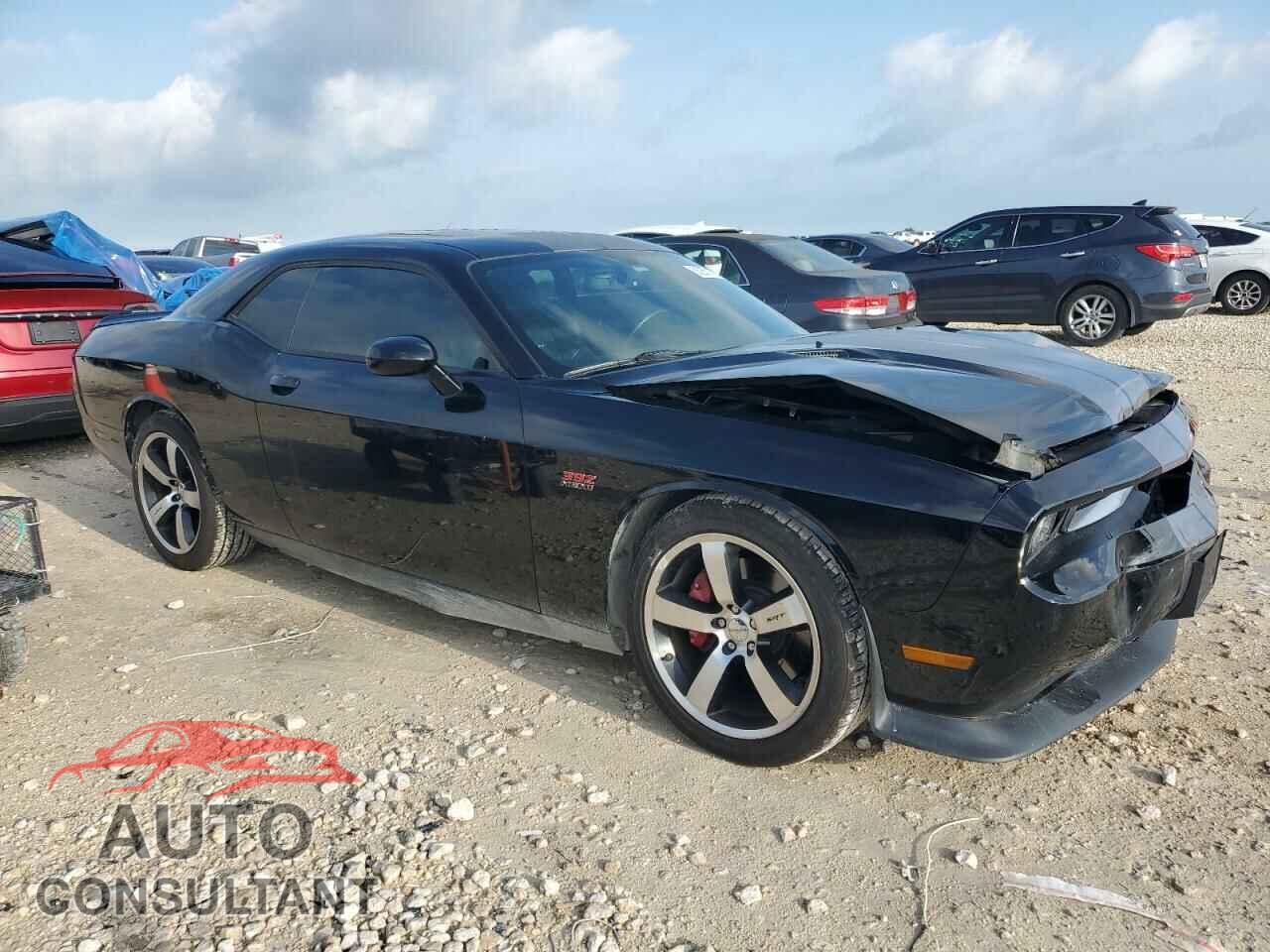 DODGE CHALLENGER 2012 - 2C3CDYCJ3CH137619