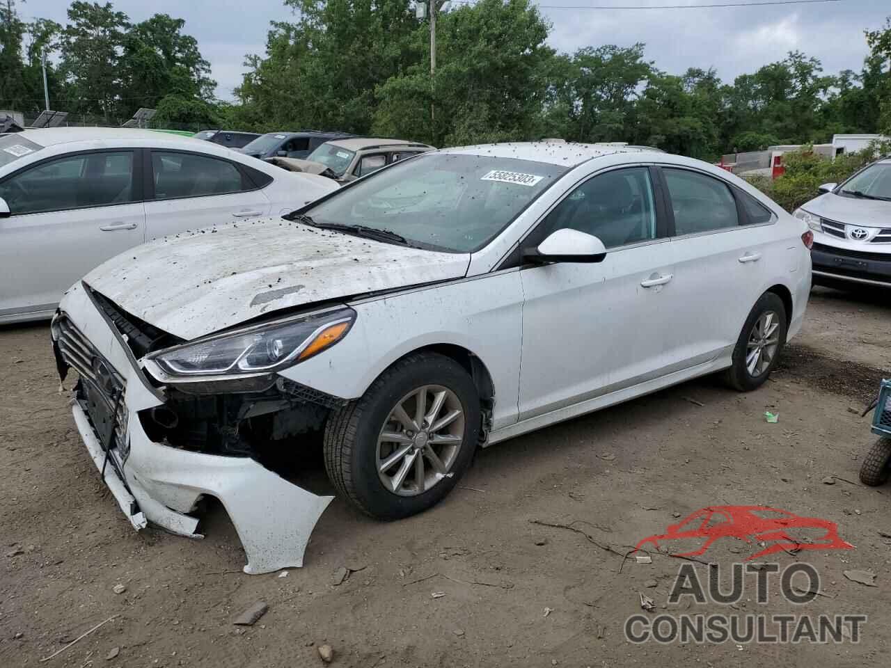 HYUNDAI SONATA 2019 - 5NPE24AF5KH774082