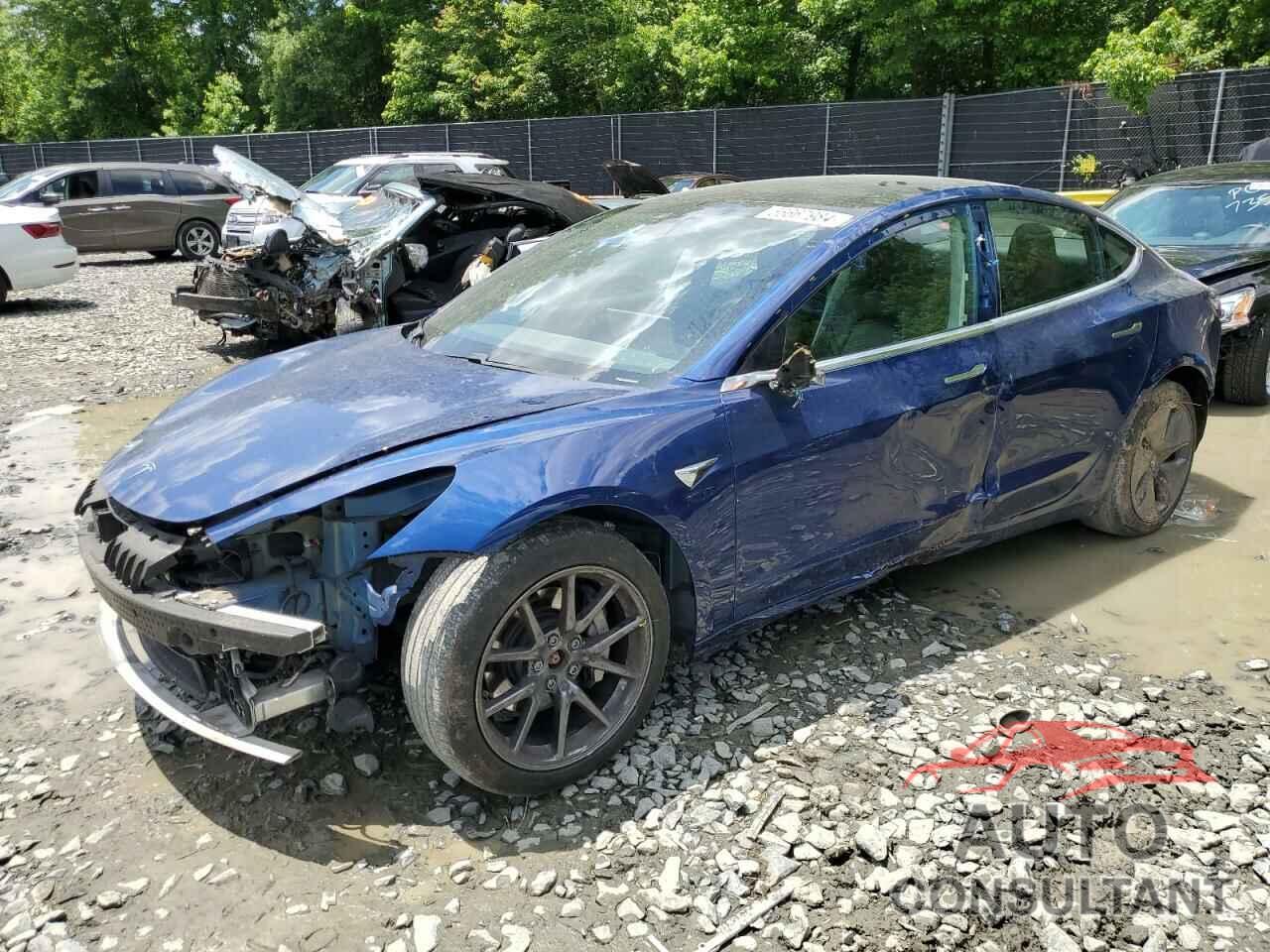 TESLA MODEL 3 2019 - 5YJ3E1EB3KF533396