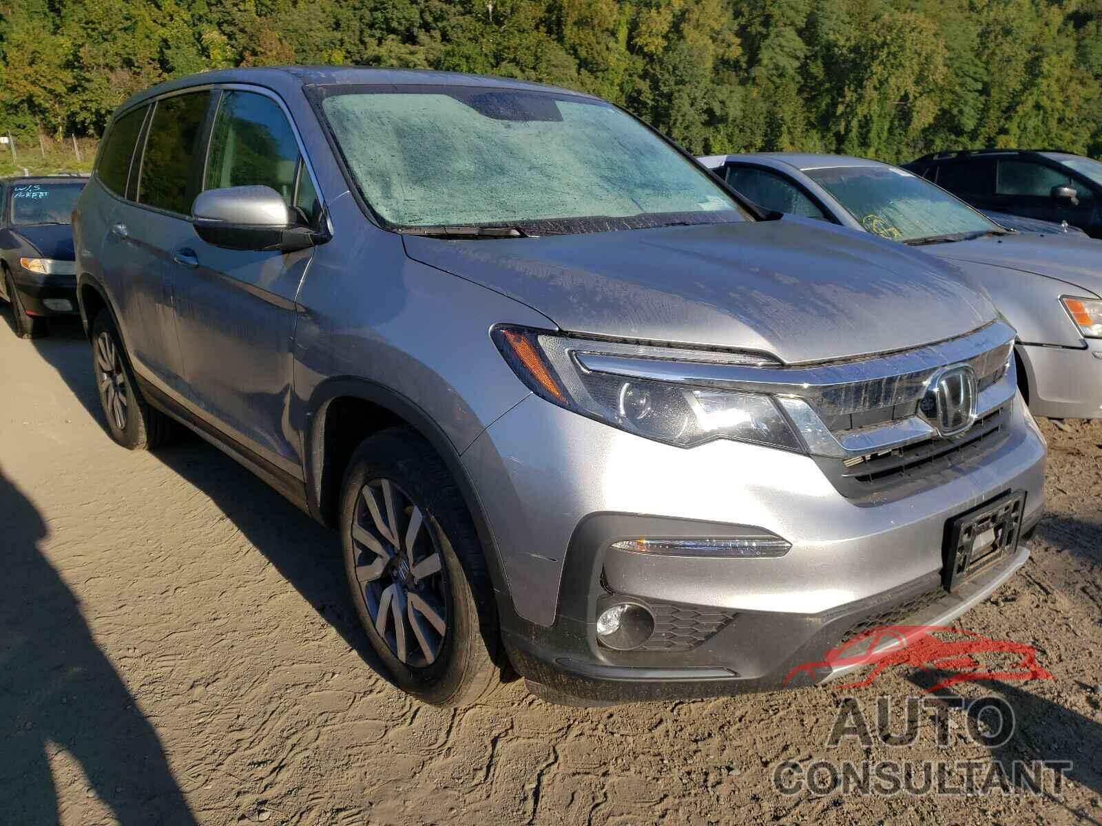 HONDA PILOT 2019 - 5FNYF6H56KB092627