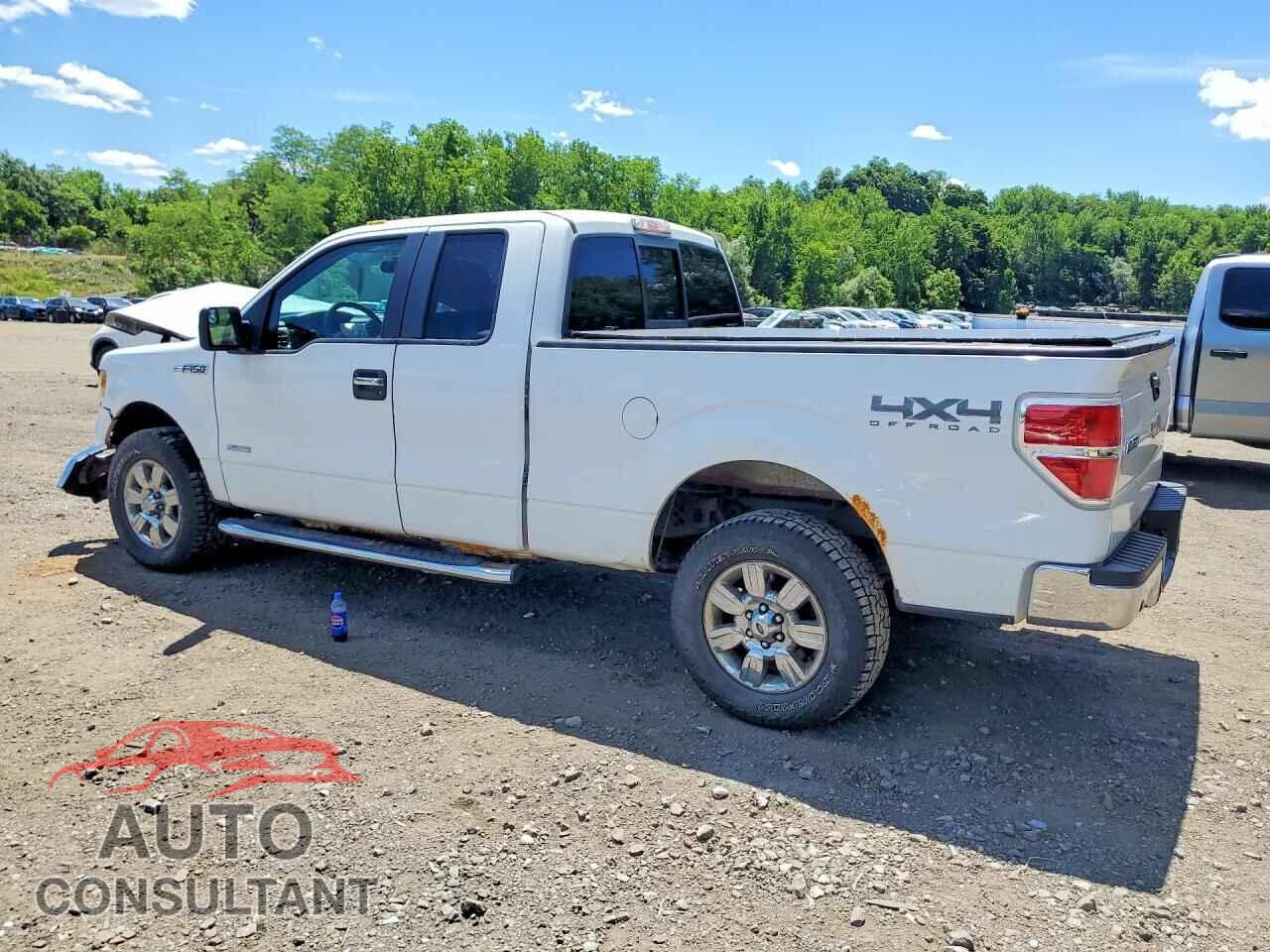 FORD F150 2011 - 1FTFX1ET2BFB87403