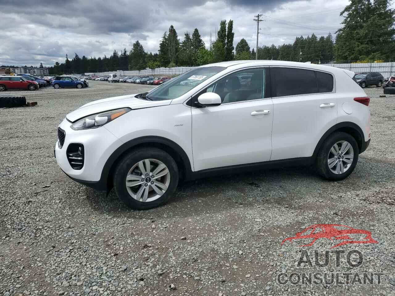 KIA SPORTAGE 2017 - KNDPMCACXH7257764