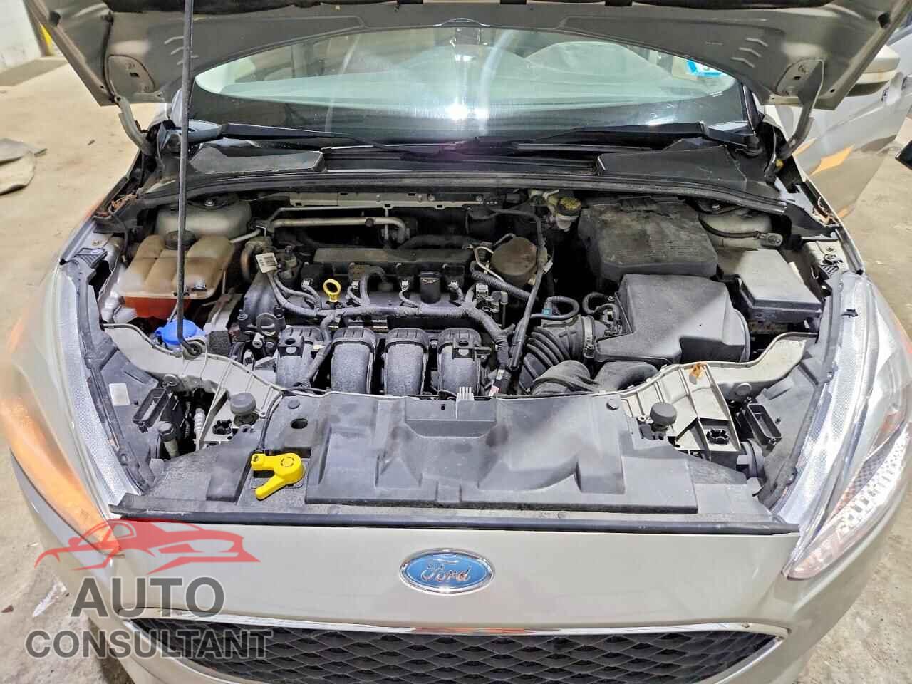 FORD FOCUS 2015 - 1FADP3F21FL246916