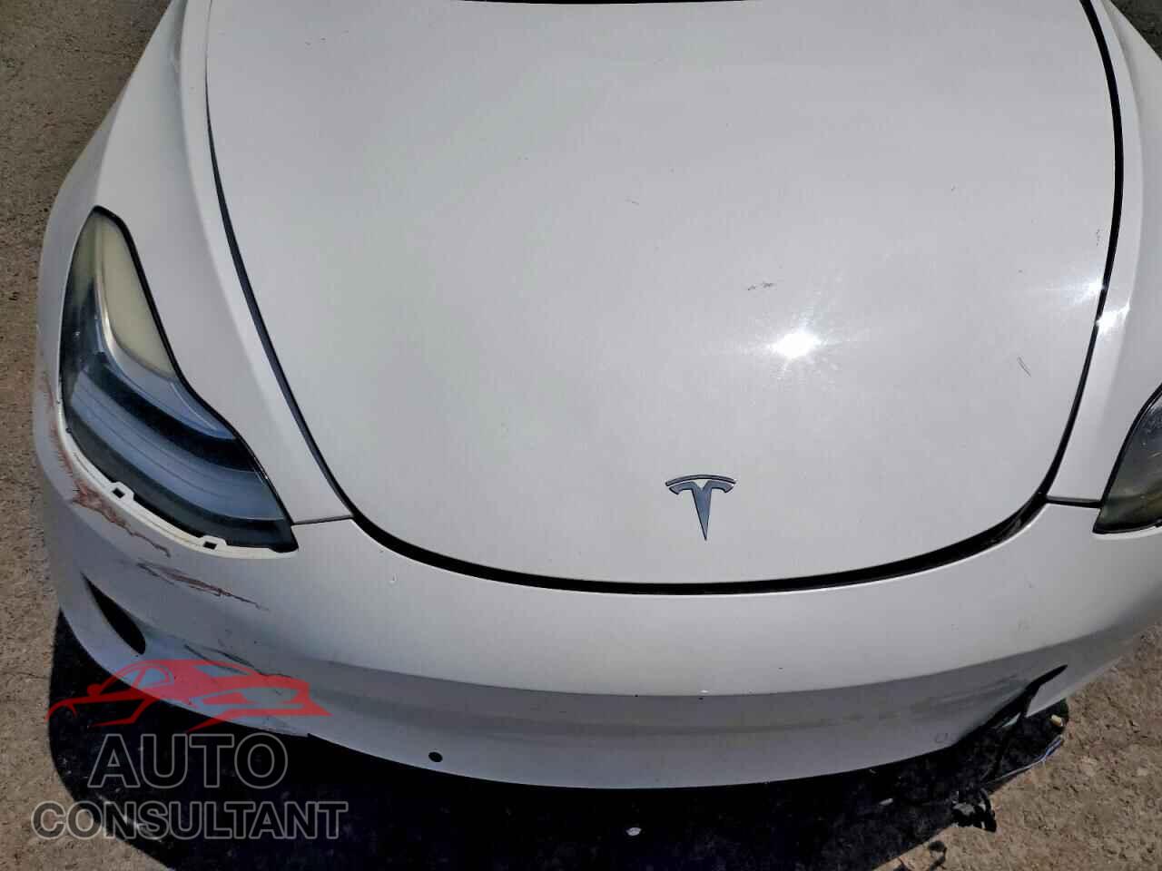 TESLA MODEL 3 2019 - 5YJ3E1EA1KF401390