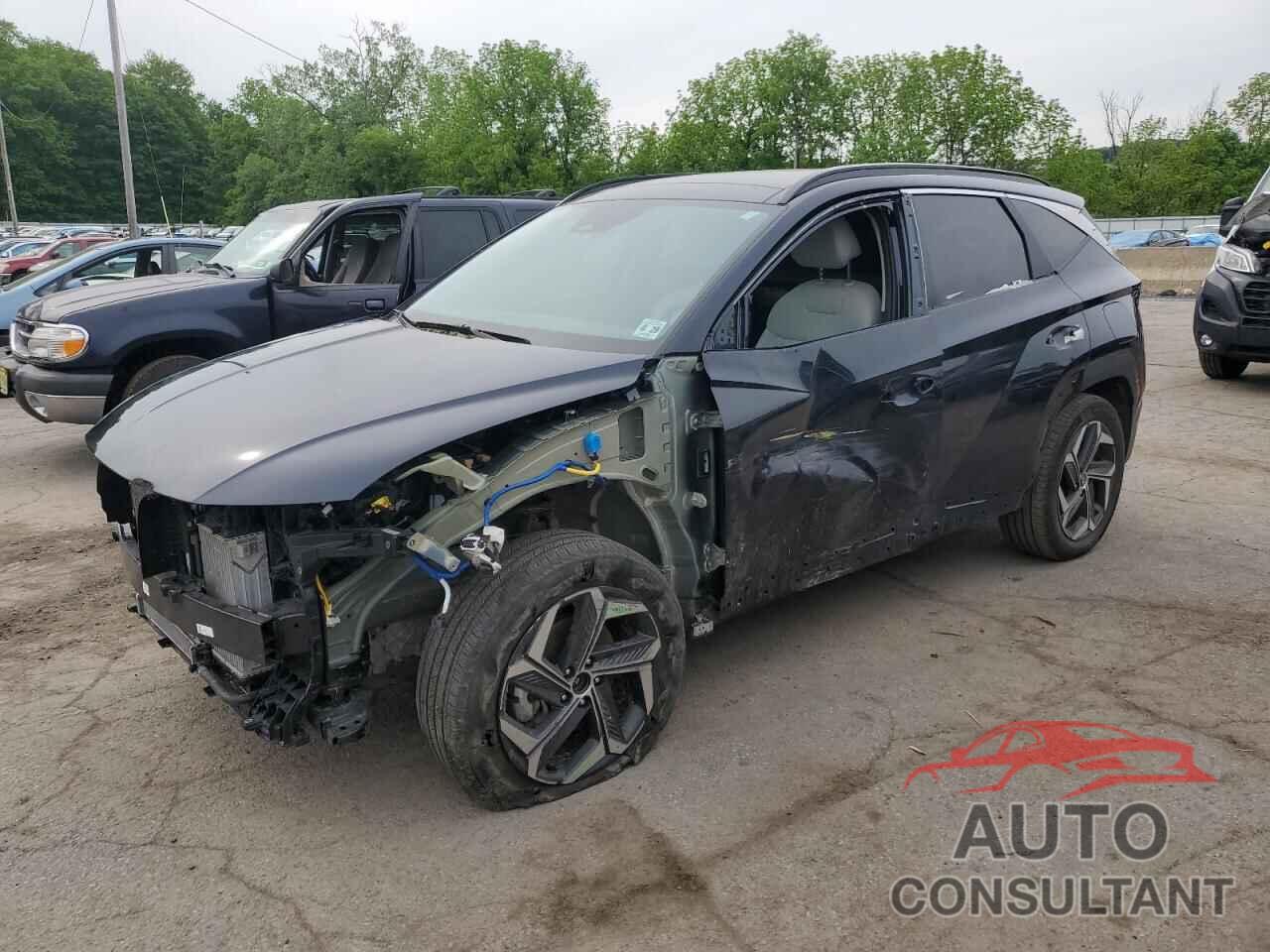HYUNDAI TUCSON 2024 - KM8JCCD1XRU216827
