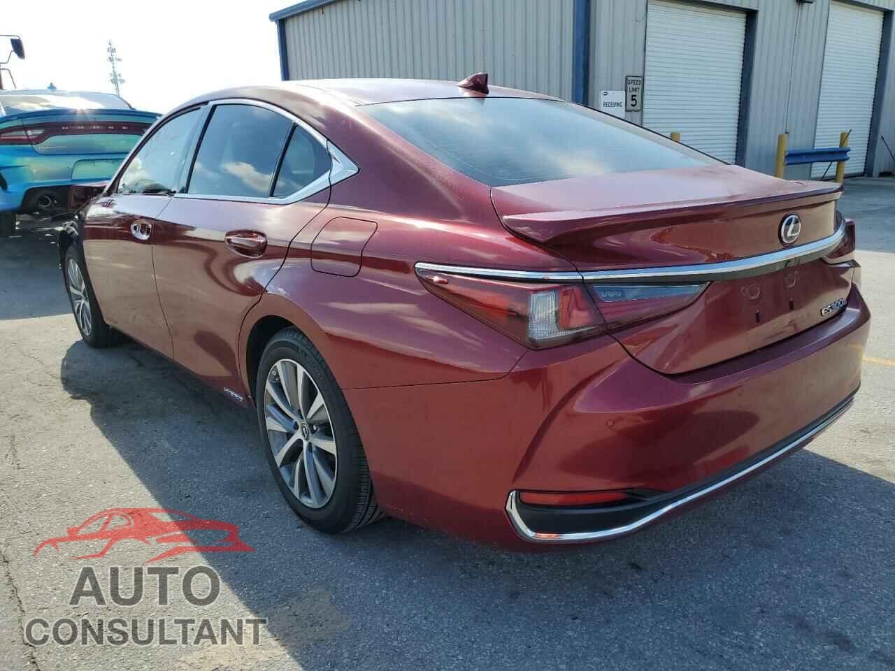 LEXUS ES300 2021 - 58ADA1C16MU005053