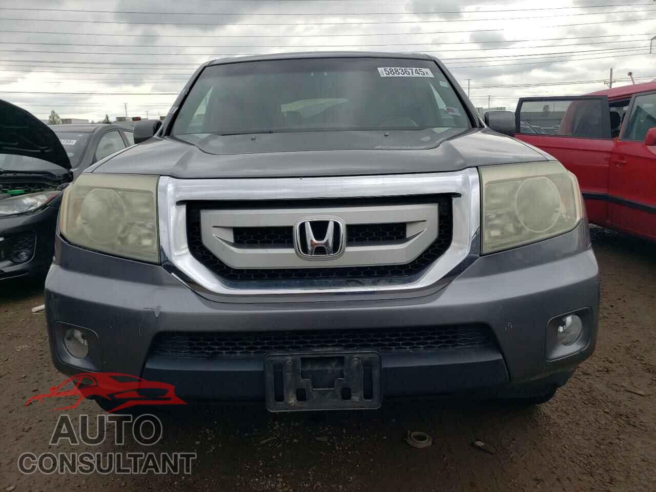 HONDA PILOT 2009 - 5FNYF48599B045302