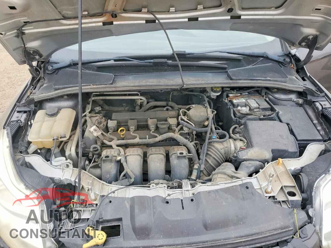 FORD FOCUS 2012 - 1FAHP3M24CL183181