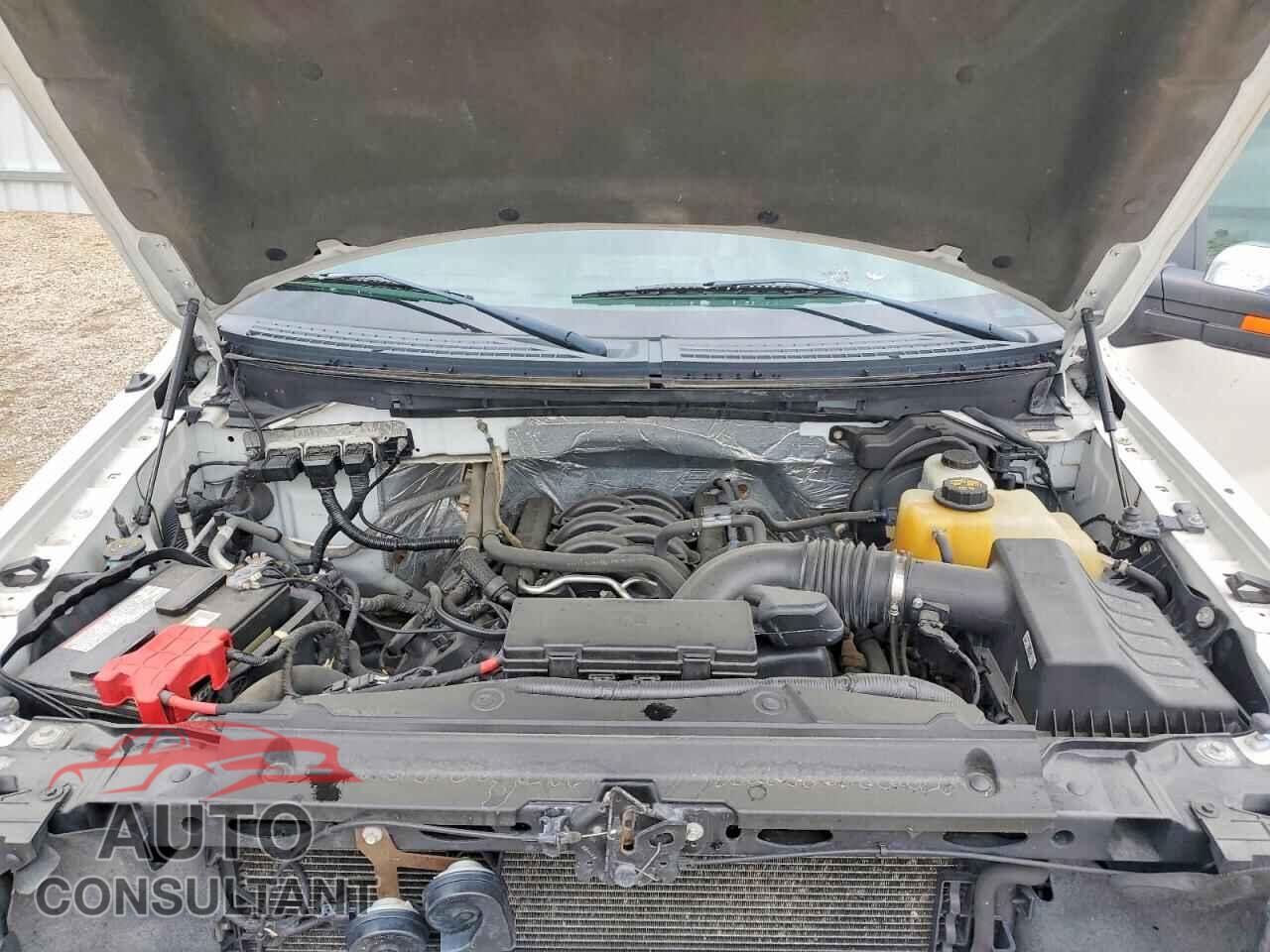 FORD F150 2013 - 1FTFW1EF9DFD55795