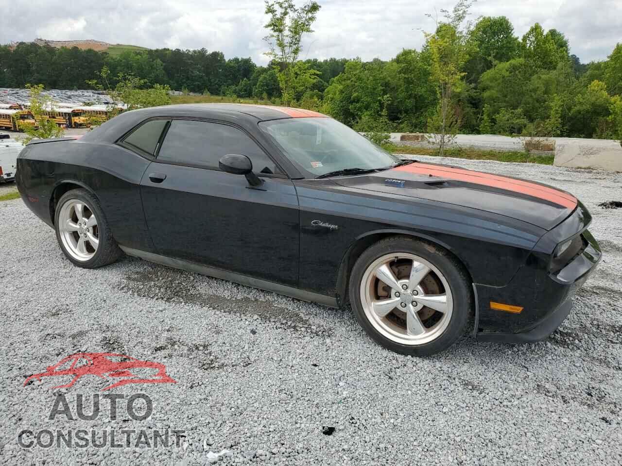 DODGE CHALLENGER 2013 - 2C3CDYBTXDH579284