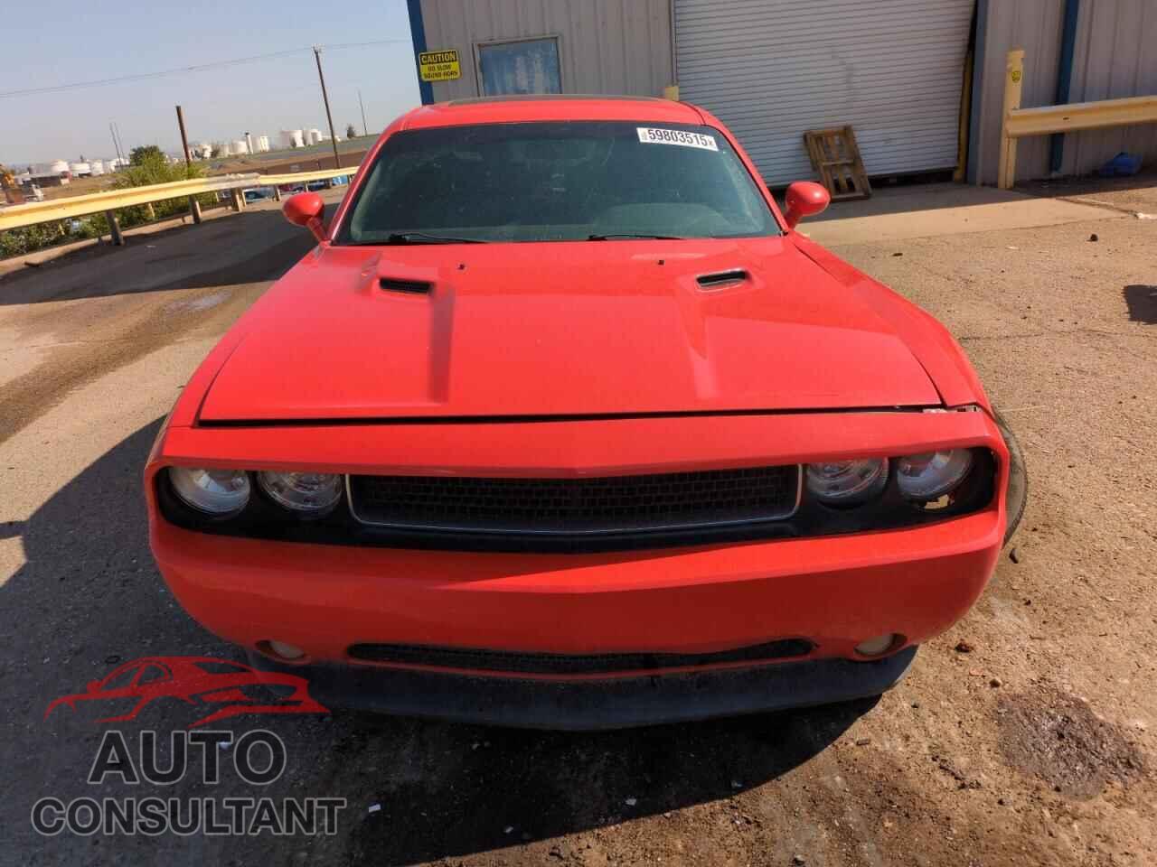 DODGE CHALLENGER 2013 - 2C3CDYBT1DH733638