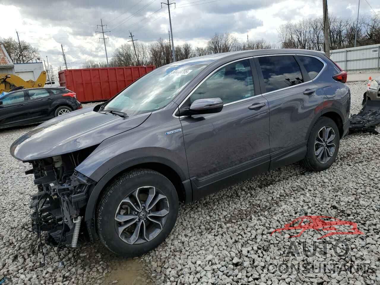 HONDA CRV 2022 - 5J6RT6H81NL022598