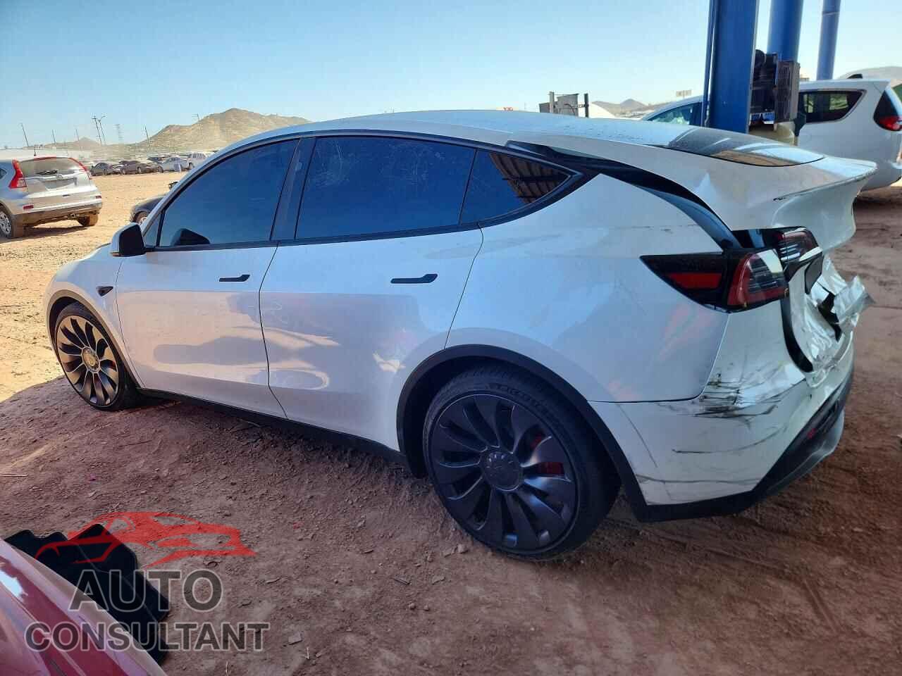 TESLA MODEL Y 2024 - 7SAYGDEF8RF052092