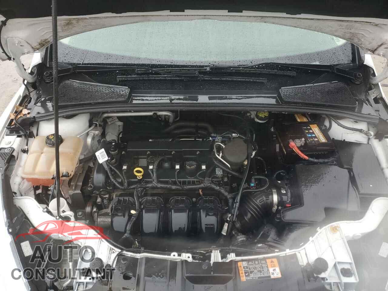 FORD FOCUS 2016 - 1FADP3F29GL227905