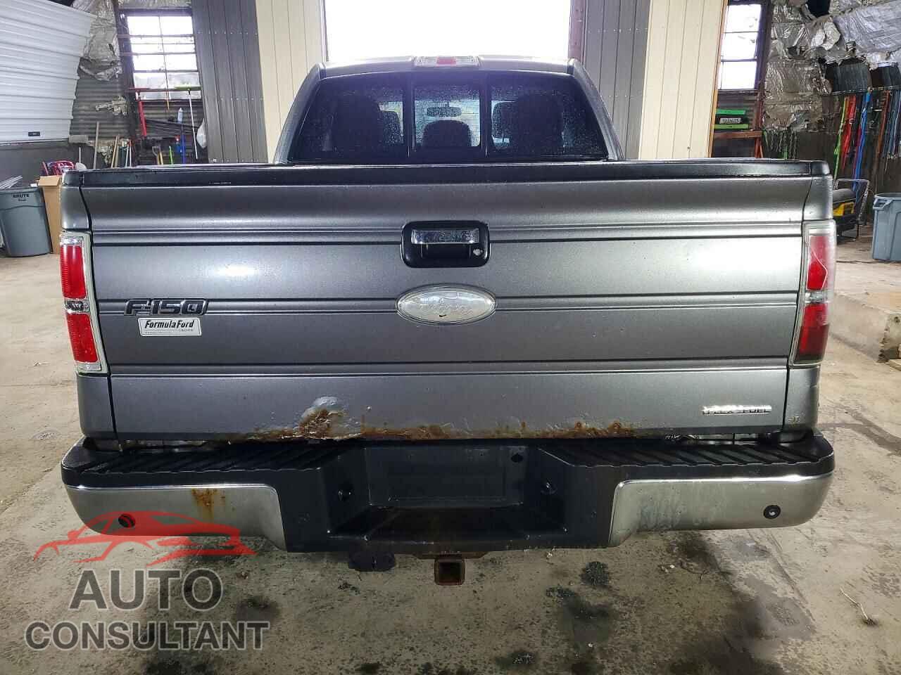 FORD F150 2012 - 1FTFX1EF3CFB78771