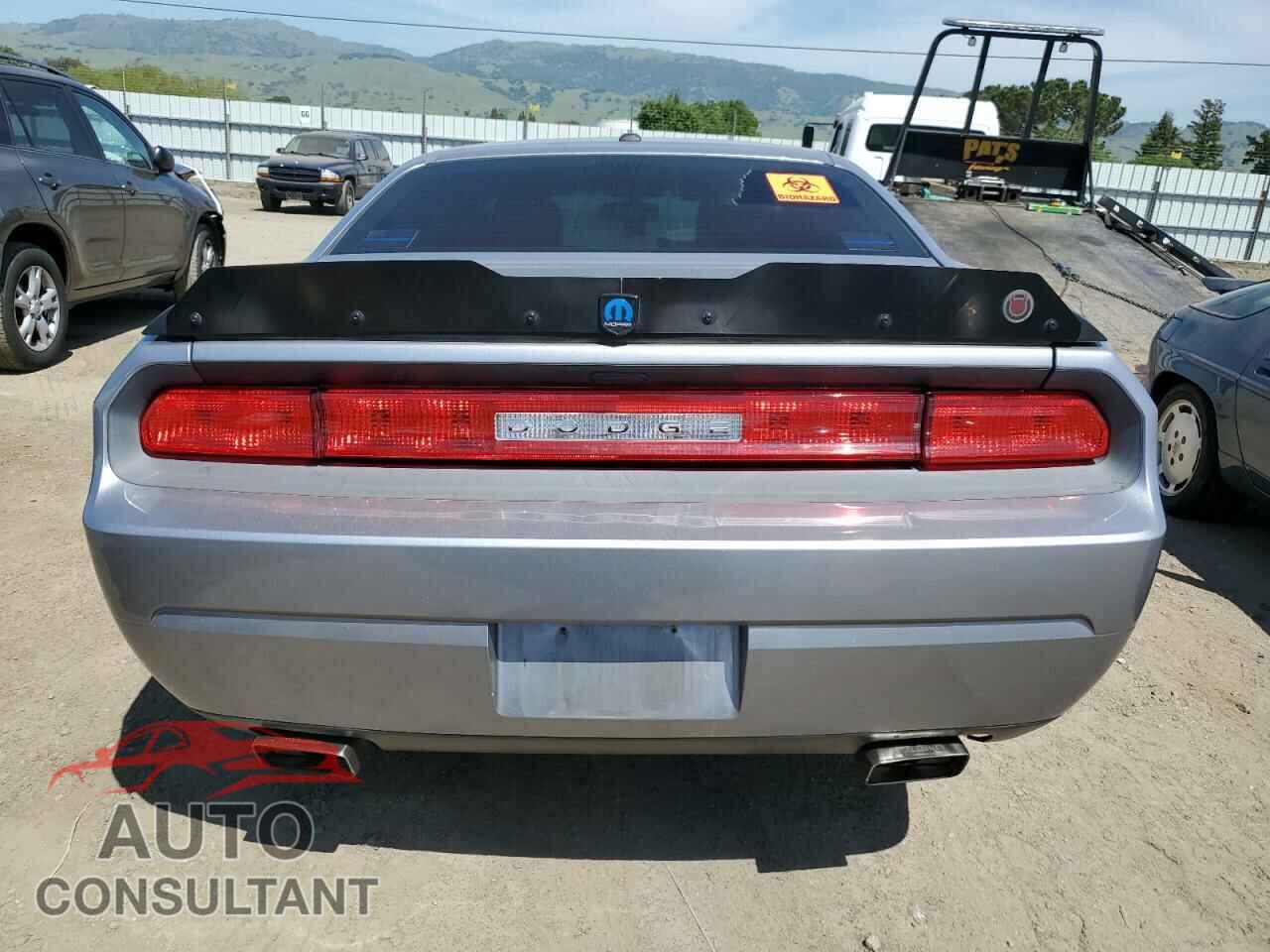 DODGE CHALLENGER 2013 - 2C3CDYBT3DH684104