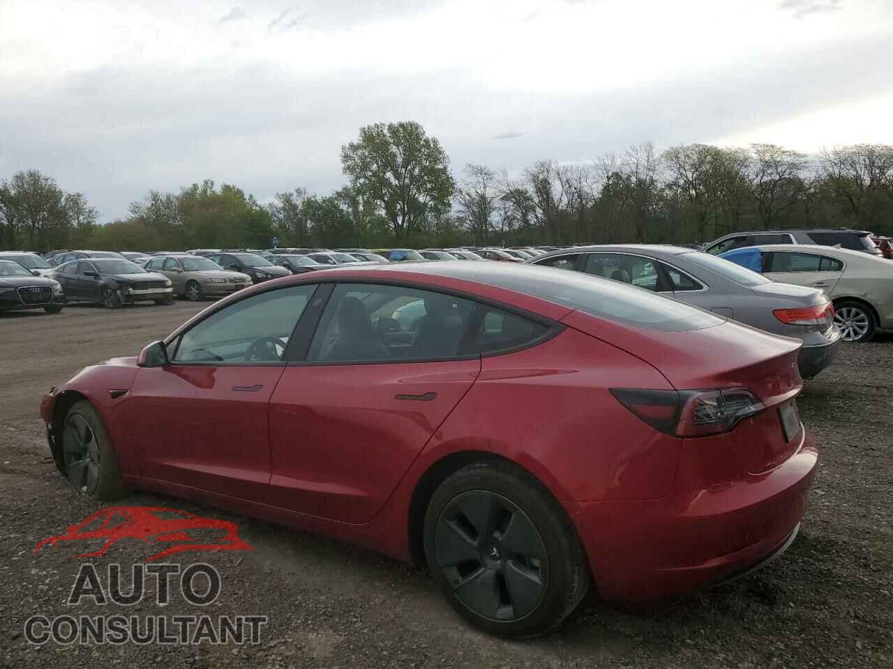 TESLA MODEL 3 2021 - 5YJ3E1EB0MF012901
