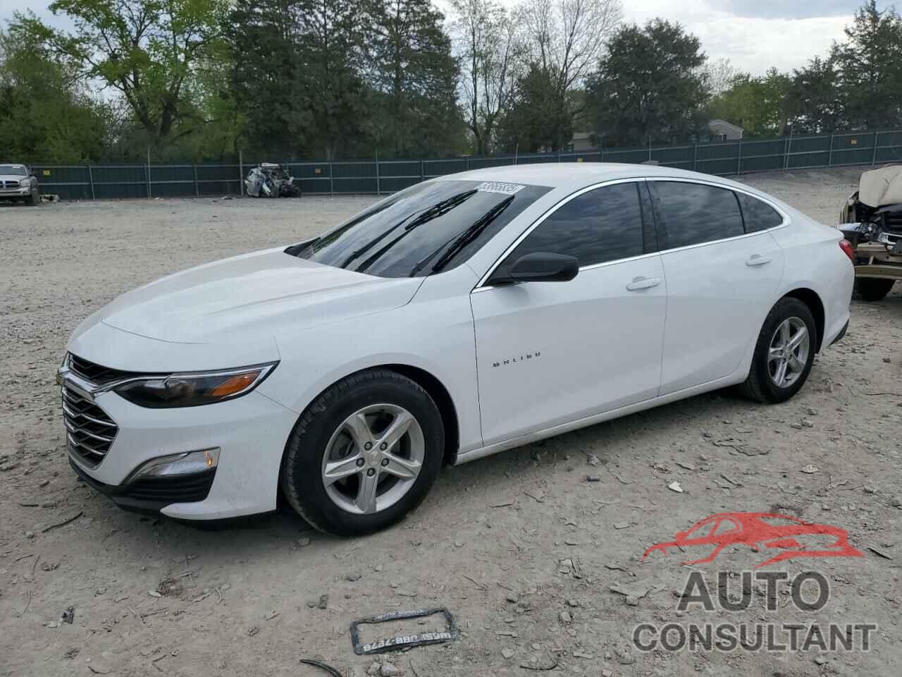 CHEVROLET MALIBU 2020 - 1G1ZB5ST1LF127839