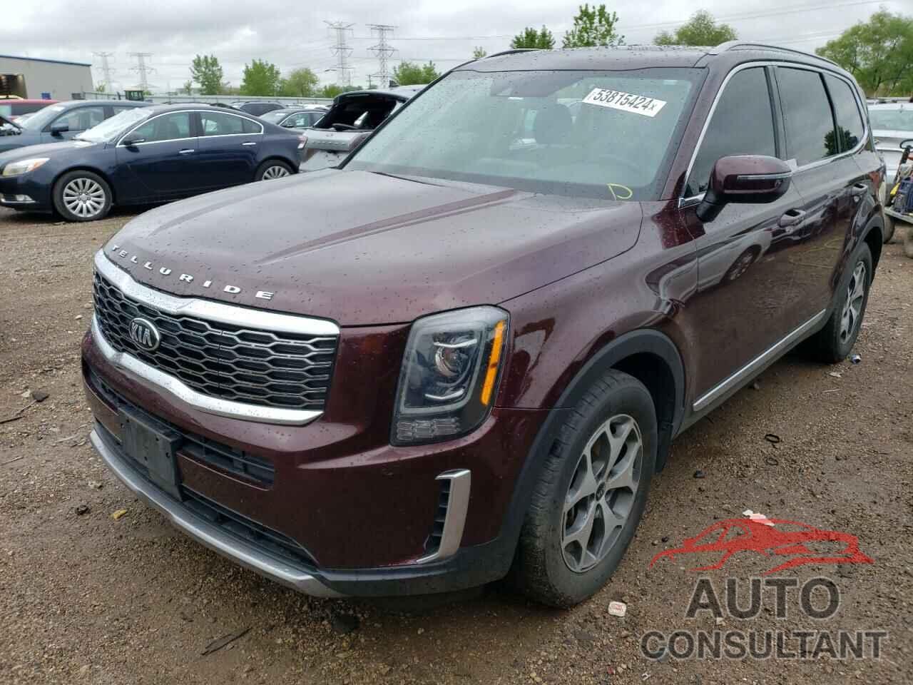 KIA TELLURIDE 2021 - 5XYP34HCXMG131836