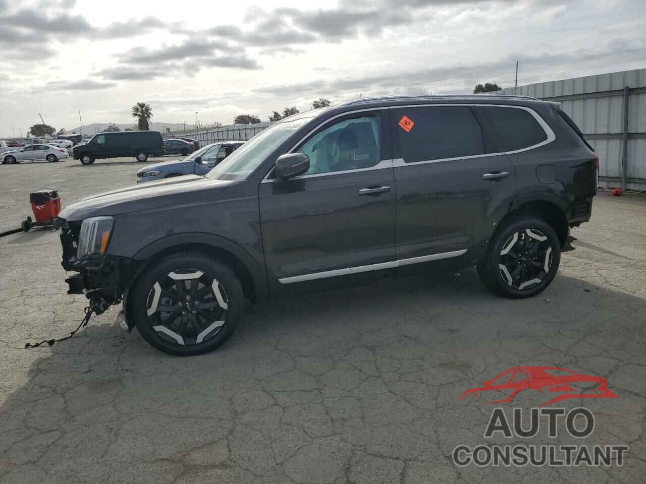 KIA TELLURIDE 2024 - 5XYP6DGC0RG490225