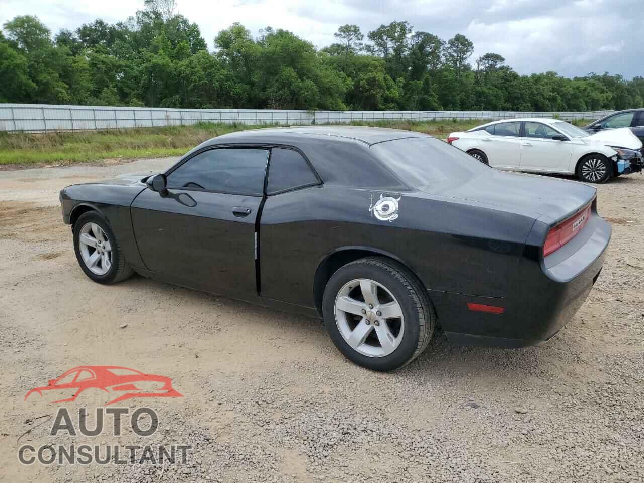 DODGE CHALLENGER 2013 - 2C3CDYAG5DH692502