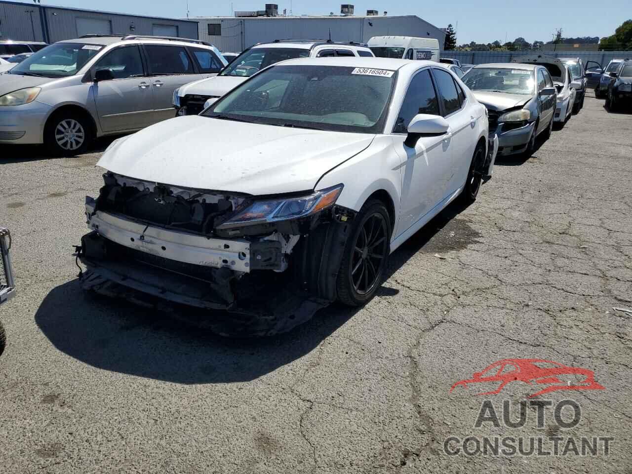 TOYOTA CAMRY 2019 - 4T1B11HK6KU269760