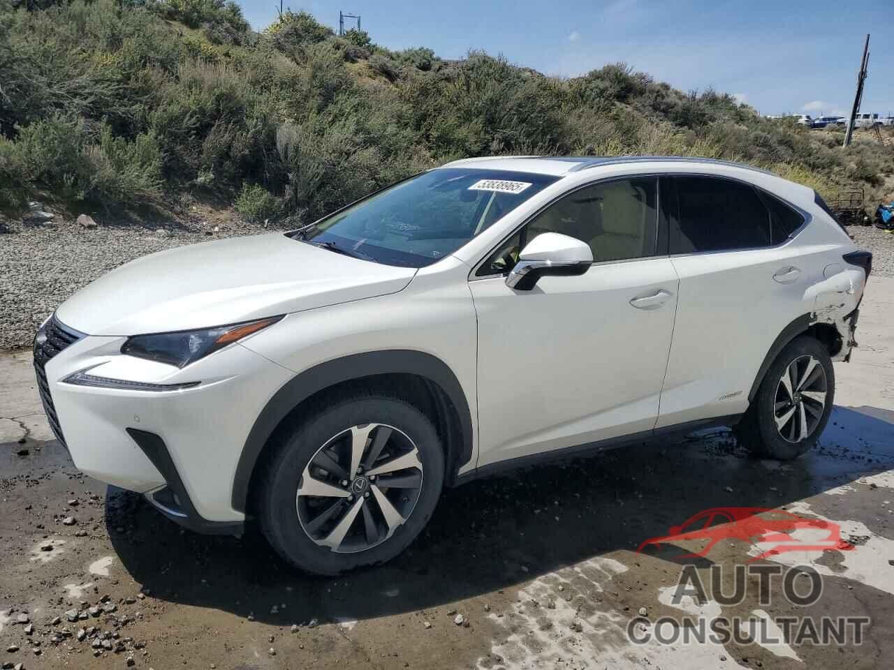 LEXUS NX 2018 - JTJBJRBZ4J2076622