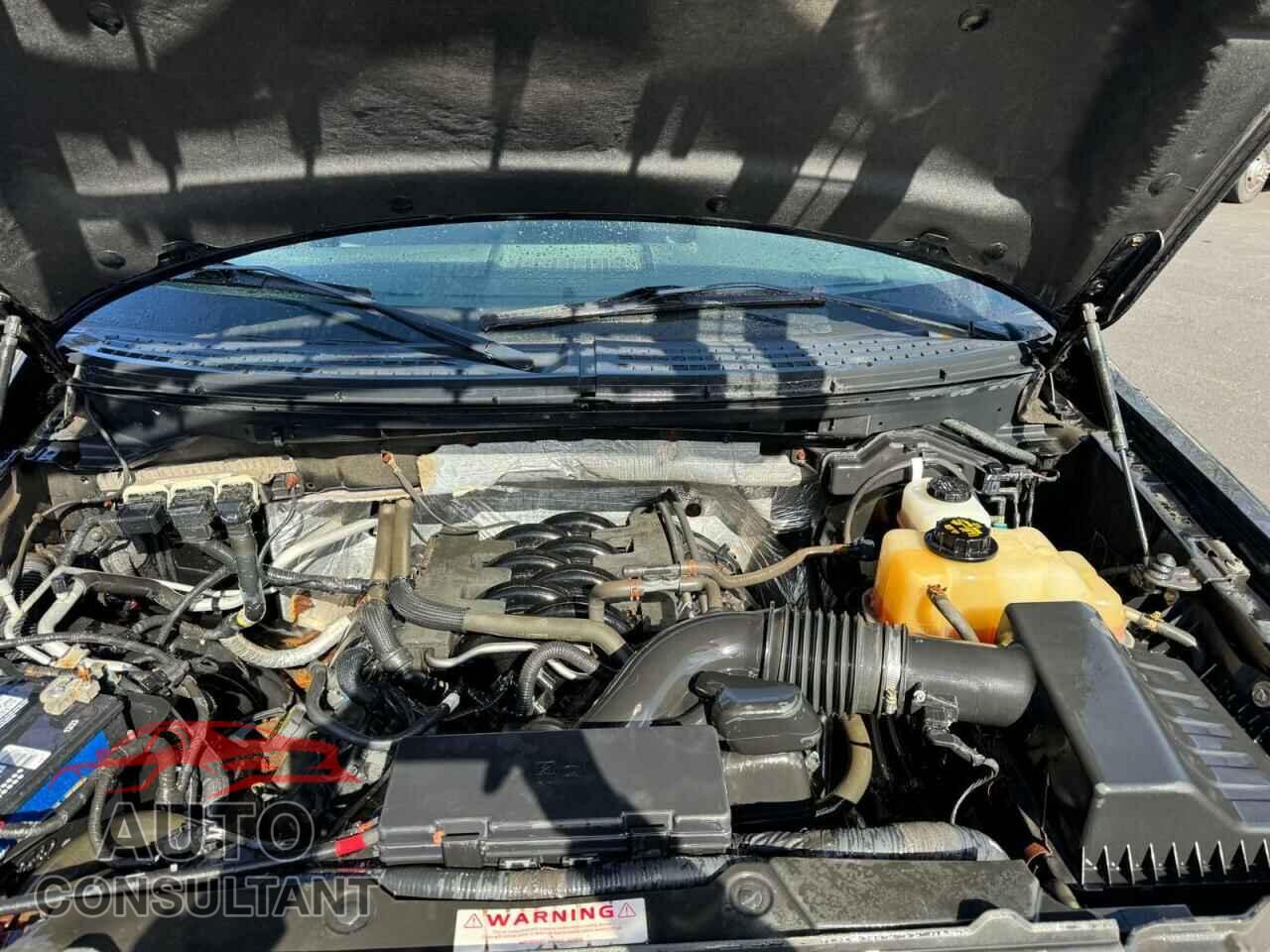 FORD F-150 2011 - 1FTFX1EF6BFA10363